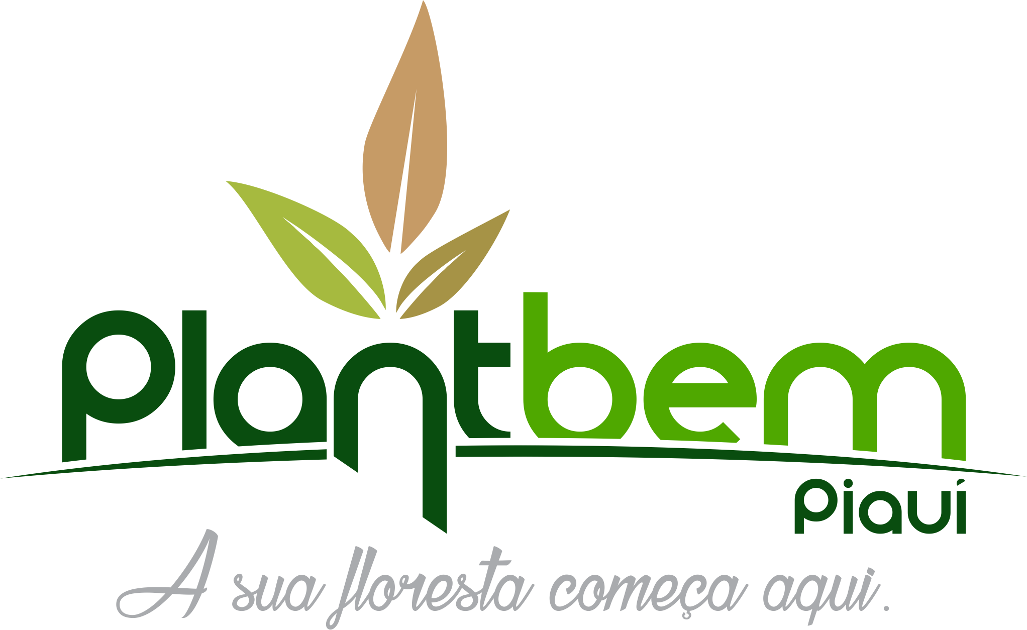 Logo Plantbem Piauí